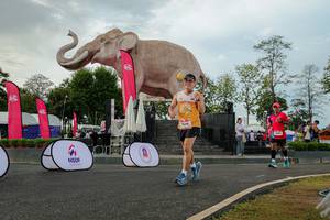 BIB: 
                            <button type="button" onclick="openModal(26528588)" class="btn btn-primary btn-sm float-right btn-popup" data-toggle="modal" data-target=".modal-high-quality">
                        <i class="fas fa-shopping-cart"></i> Add to Cart
                    </button>
                                            <button type="button" onclick="isThisMe(26528588, true)" class="btn btn-success btn-sm float-right btn-popup btn-isme hidden" data-toggle="tooltip" data-placement="bottom" title="นี่คือรูปของคุณใช่ไหม คลิกที่นี่เพื่อเอาเข้าอัลบั้ม">
                        <i class="fas fa-plus"></i> Add to album
                    </button>
                    <button type="button" onclick="isThisMe(26528588, false)" class="btn btn-warning btn-sm float-right btn-popup btn-isnotme hidden">
                        <i class="fas fa-ban"></i> Remove from album
                    </button>